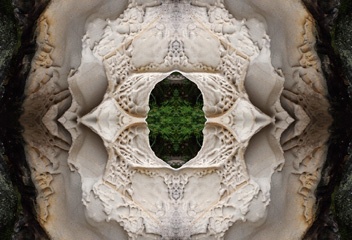P2123681Kal1.jpg